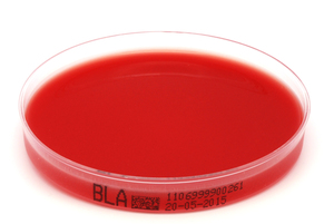 1106 blutagar bla xebios