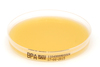 1104 baird parker agar bpa xebios