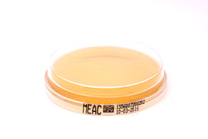 1556 malzextrakt agar mit chloramphenicol meac xebios